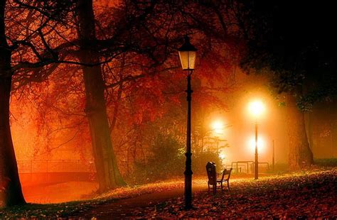 Autumn Evening In Park Fall Red Autumn Glow Falling Bonito