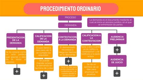 Mapa Conceptual De Procedimiento Ordinario