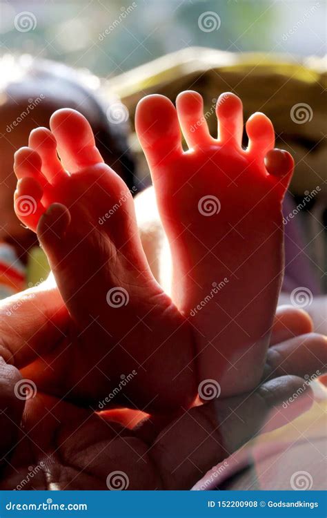 Newborn Baby Legs Close Up Stock Photo Image Of Bonding 152200908