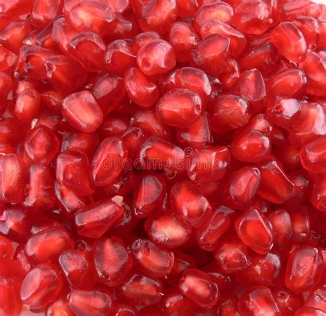 Pomegranate Seeds Background Stock Photo - Image of grain, granate: 1907114