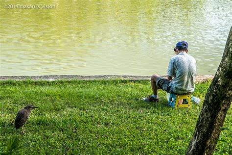 碧湖公園 masaru vision net Masaru Flickr