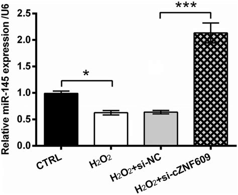 Cznf Silence Induced Mir Up Regulation Following Transfection