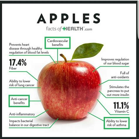 Apple Health Insurance - Financial Report