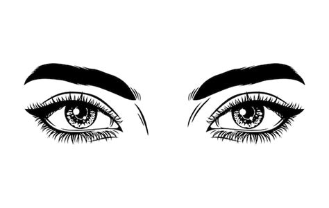 Premium Vector Beautiful Female Eyes With Eyebrows And Long Eyelashes Sexy Look Fashion