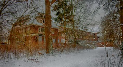 Wallpaper Winter Snow Tree House Freezing Home Branch Sky Wood Building Facade