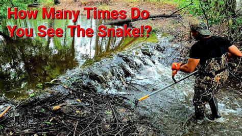 Snake Coulda Got Me While Removing Beaver Dam In Gator Creek At The