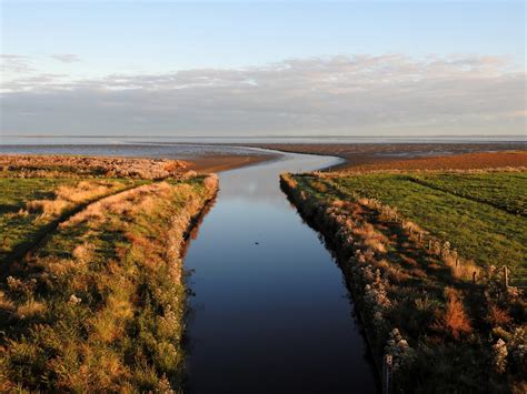 Banco De Imagens Panorama Costa Rvore Agua Natureza Grama