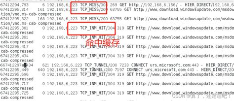 Squid代理服务器应用squid Proxy Csdn博客