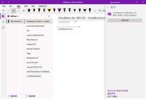 为什么我的 Onenote没有“文件”选项卡？ 数字笔记珍宝 Onenotegem