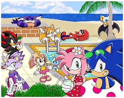 Sonic And Friends At The Beach Sonic And Friends Photo 20567402