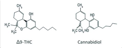 Chemical Structures Of 9 Tetrahydrocannabinol 9 Thc And Cannabidiol