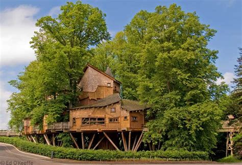 treehouse_alnwick_gardens | Treehouser's Blog