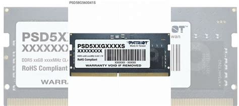 PSD58G560041S, Модуль памяти patriot Signature Lin купить в Москве ...