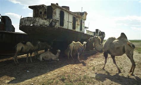 Disaster(s) of the Aral sea part 1: Shipwrecks around Muynak