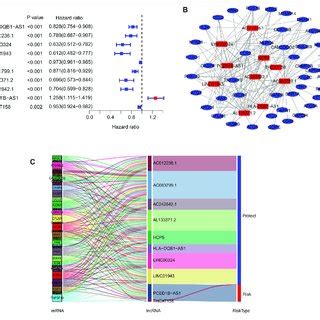 Survival Curve Analysis Of Autophagy Related LncRNAs The