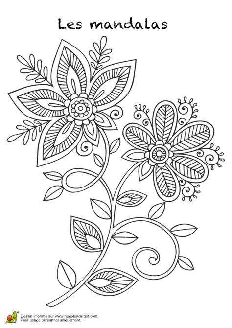 Coloriage Hugo Lescargot Fleur Settinglocb