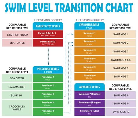 Swim Level Progression Chart Update With Transition Splash Island