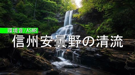 【環境音・asmr】信州安曇野の清流／川のせせらぎ音と鳥のさえずり3時間（癒し）疲れた心身の回復・リラックス効果・勉強中や作業用、目覚めの朝に