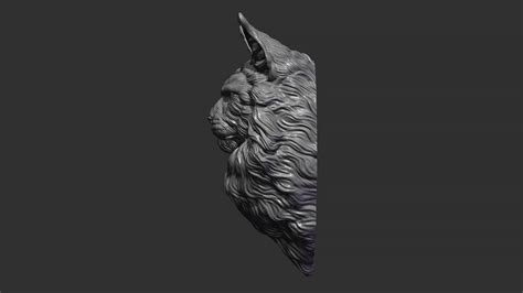 Maine Coon Head 3d Model By Guninnik81