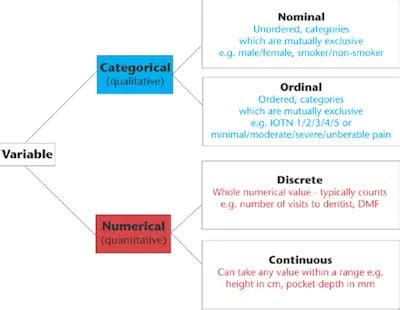 Count Variables Vs Continuous Variables: Understanding The Differences ...