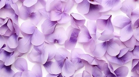 Petals Background Stock Photos, Images and Backgrounds for Free Download