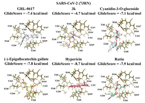 Identification Of Small Molecule Inhibitors Of The Deubiquitinating