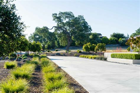 Serene Woodland Retreat Madrone Landscape
