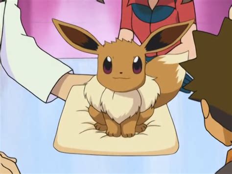 Mays Eevee Makes Her Debut After Hatching By Advanceshipper2021 On