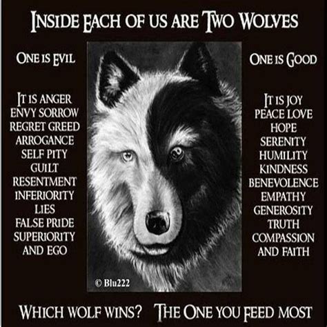 Which Wolf Do You Let Win Everyday Wolf Quotes Two Wolves American Quotes