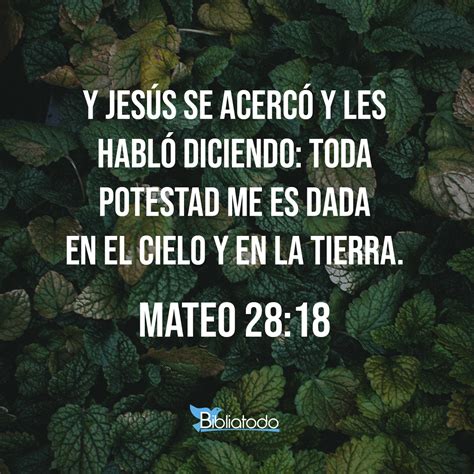 Mateo Bls L Se Acerc Y Les Dijo Dios Me Ha Dado Todo El