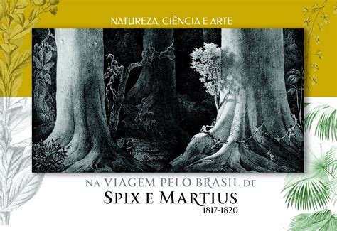 Expedi O Spix E Martius Completa Anos E Ganha Exposi O No Rio De