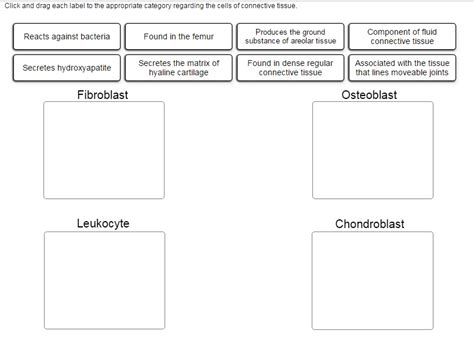 Solved Click and drag each label to the appropriate category | Chegg.com