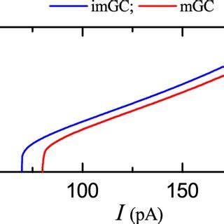 Effect Of Adult Born Immature Granule Cells On Pattern Separation In