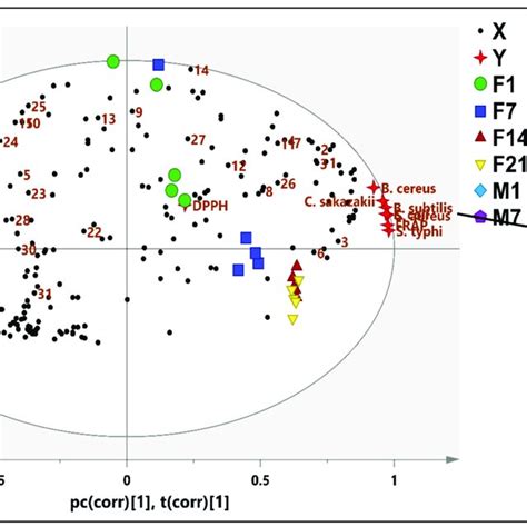 The Biplot Obtained From Pls Describing The Correlation Between The Download Scientific Diagram