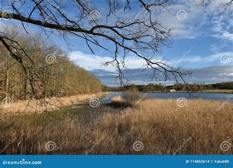 Landscape in Southern Bohemia Stock Photo - Image of forest, republic ...