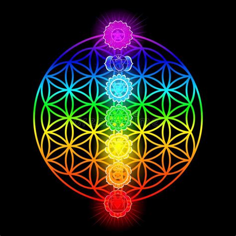 Seven Chakras And Flower Of Life Stock Vector Illustration Of Anahata Mandala 100388038