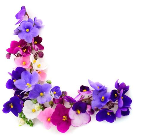 Fundo De Lindas Flores Violetas Foto Premium