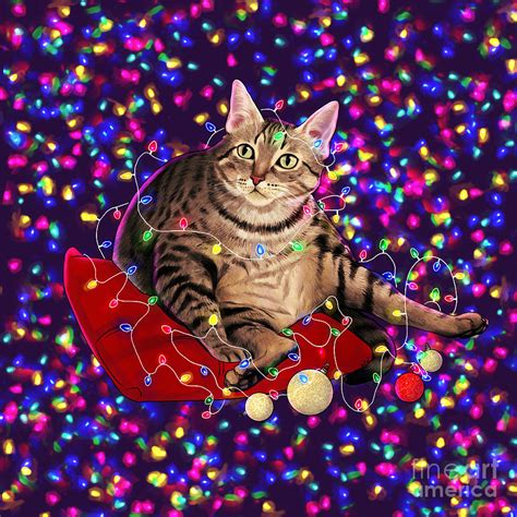 Cute Chonky Christmas Cat Digital Art By Kuini Fernandez Fine Art America