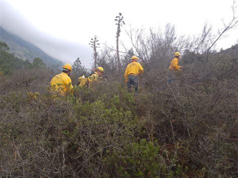 Controlan Tres Conatos De Incendio En La Sierra De Arteaga El Siglo De Torreón