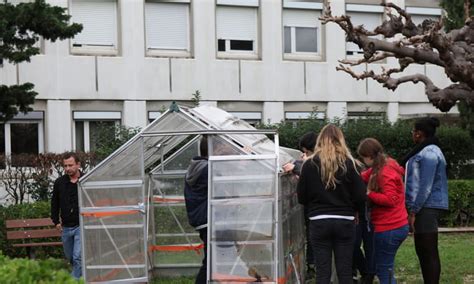 Photo de classe Lycee maurice genevoix au journal de 2019 Lycée