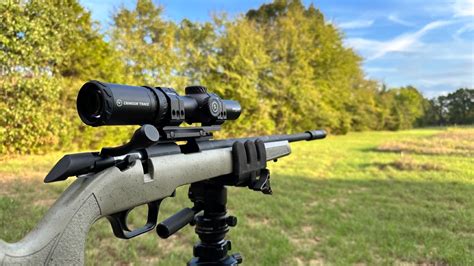 Best Rimfire Rifle For The Money The Armory Life