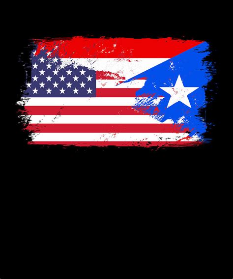 Usa Puerto Rico Flag Land Pride Digital Art By Manuel Schmucker Fine Art America