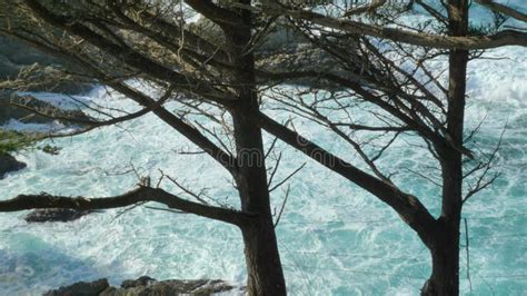 Majestic Big Sur Coastline Waves Crashing On The Cliff Rocks At