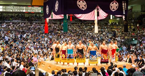 Nhật tung chiêu thu hút du khách nước ngoài mê sumo