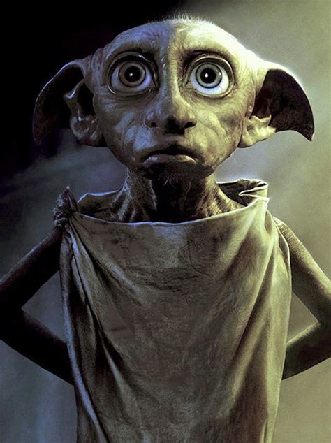 Dobby Dobby Harry Potter Harry Potter Pictures Harry Potter