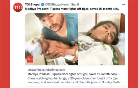 Mom Fights Off Tiger With Bare Hands To Save Her 15 Month Old Son