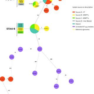 Figure Analysis By Minimum Spanning Tree Based On Core Genome