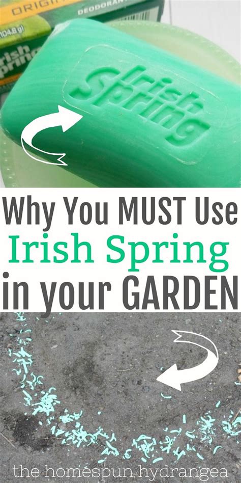 How To Use Irish Spring Soap In Garden - ZTech