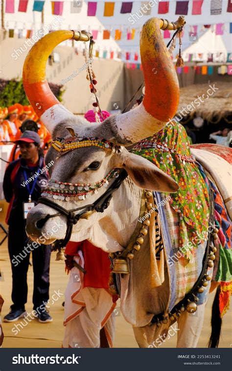 21 December 2022 Bhimthadi Jatra Pune Stock Photo 2253413241 Shutterstock