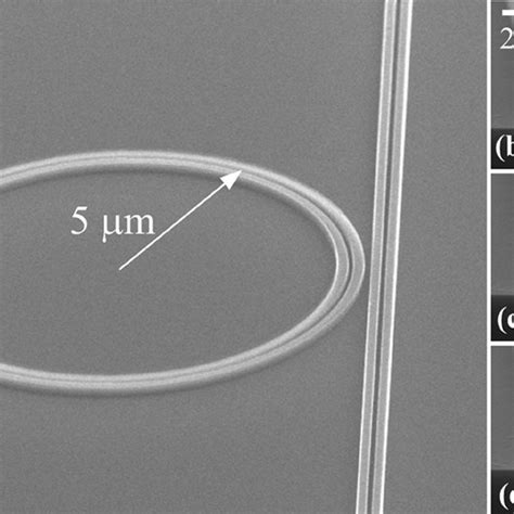 A Sem Image Of A Slotted Microring Resonator Microring Resonator